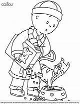 Caillou Cartoon Coloring Pages sketch template