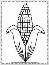 Printable Corn Template sketch template