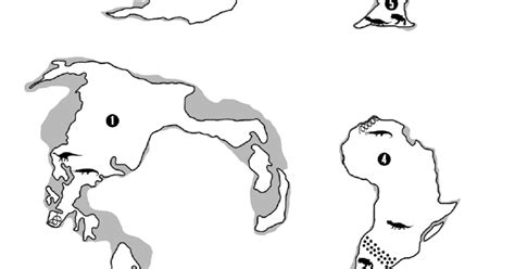 Plate Tectonics Puzzle: Activity for 4th/5th Graders | AMNH