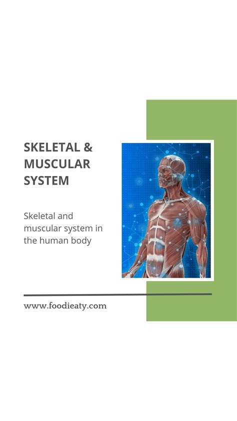 Skeletal And Muscular System Coursepedia - vrogue.co