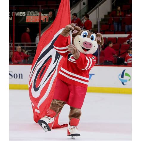 Carolina Hurricanes mascot Stormy