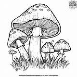 Cheerful Mushroom Wonderland Coloring Pages sketch template