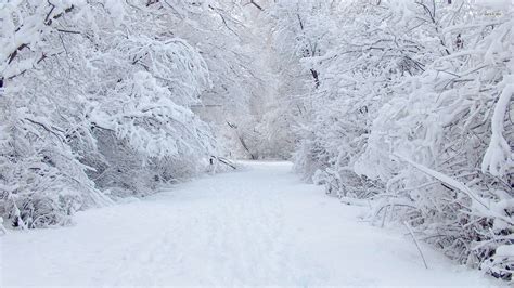 Snow - Schools Plus at Harris Academy Bermondsey