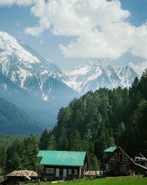 Valley in Kashmir, India : r/MostBeautiful