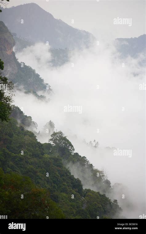 Nilgiri hills hi-res stock photography and images - Alamy