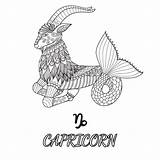 Line Art Design Of Capricorn Zodiac Sign For Element And Adult  sketch template