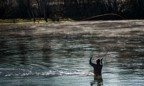 Bull Shoals-White River State Park | Arkansas State Parks