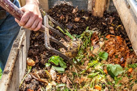 Introducing: Compost Works - Transition Liverpool