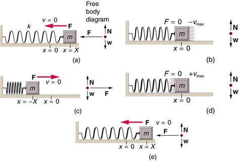 Simple Harmonic Motion: A Special Periodic Motion | Physics