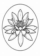 Coloring Pages  Water Lily Page For Kids sketch template