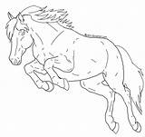 Paint Horse Jumping Coloring Pages Sketch Page sketch template