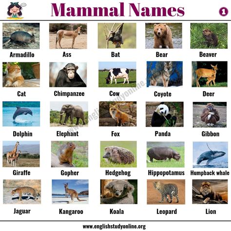 Endangered Animals List With Pictures And Names