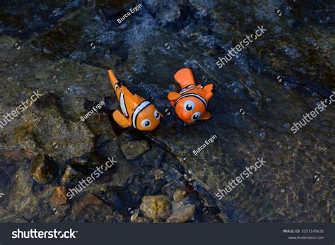 Nemo Cartoon: Over 301 Royalty-Free Licensable Stock Photos | Shutterstock