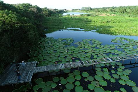 5 National Parks in Paraguay you cannot miss on your trip