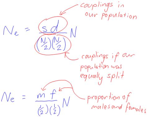 Making sense of the effective population size formula - Making Your Own Sense