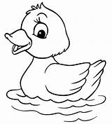 Duck Patos Pato Ente Patito Kawaii Desenhar Zeichnen Animado  sketch template