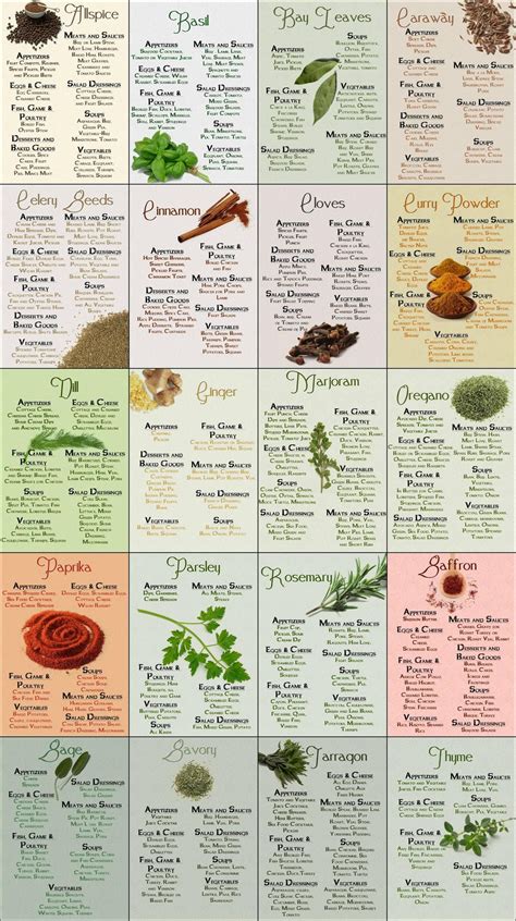 Culinary Infographics | Spice chart, Herbs & spices, Spices