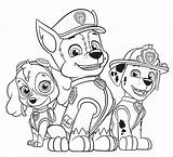 Skye Chase And Marshall coloring Page  Download Print Or Color sketch template