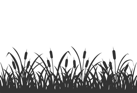 Dark silhouette of marsh grass with reeds. Background with marsh ...