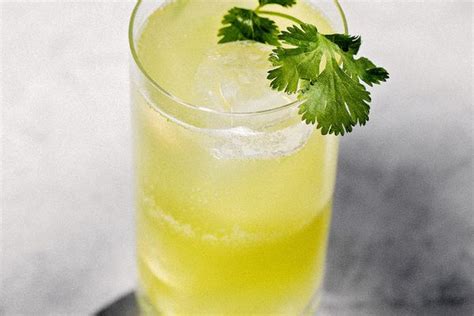Tequila Daisy Cocktail Recipe