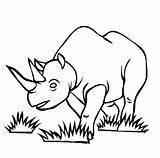 Free Printable Rhinoceros Coloring Pages For Kids sketch template
