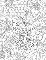 Butterflies Coloring Page For Adult Stock Illustration  sketch template