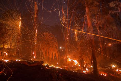 Deadly California wildfire was started by power lines touching