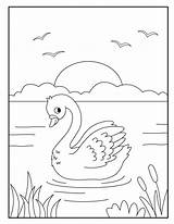 Cute Swan coloring Pages For Kids 9764534 Vector Art At Vecteezy sketch template