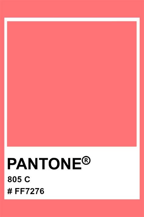 Pantone 805 C Neon Colour Palette