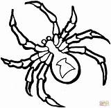 Spider Coloring Pages Printable  Home sketch template
