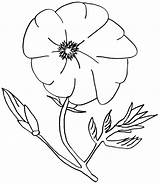 Poppy Coloring Page sketch template