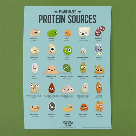 Food Poster | Vegan Protein Sources, Plant Based Protein