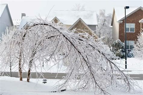 Sleet vs Freezing Rain vs Hail - The Weather Station Experts