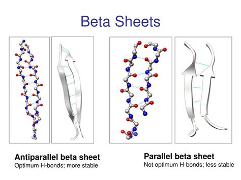 Why Are Parallel Beta Sheets Less Stable Than Anti Parallel Beta Sheets | Hot Sex Picture