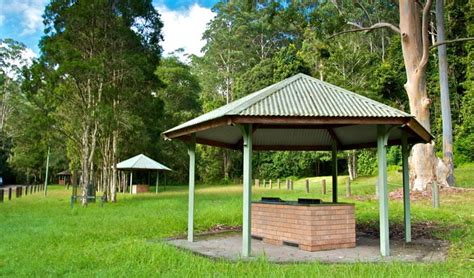 Gloucester River campground and picnic area | NSW National Parks