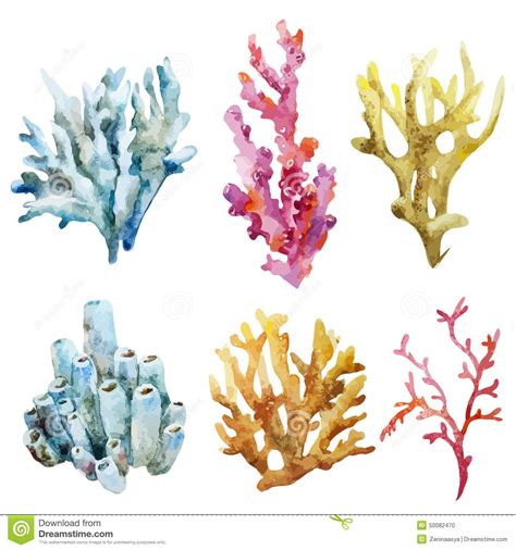 Watercolor ocean beach shell pic | Corals With Shells And Crabs Stock Illustration - Image ...