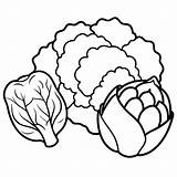 Cauliflower brussels sprouts Cabbage Vegetables Outline coloring Book  sketch template