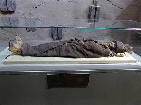 Tarim Mummies From China May Be Ancestors of Native Americans ...