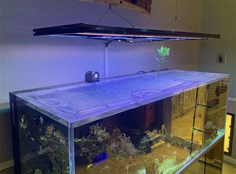 Top Lids CADE Peninsula 1500 S2 Custom Polycarbonate Aquarium Lid