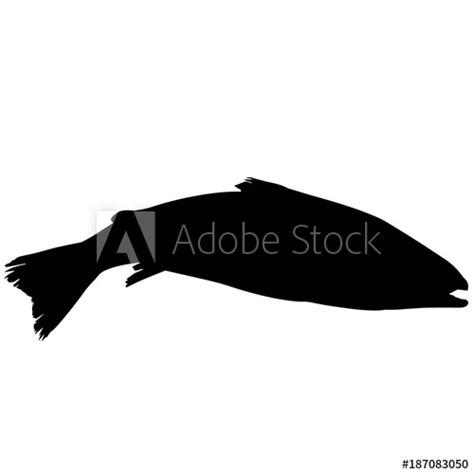 Salmon Silhouette Vector at Vectorified.com | Collection of Salmon ...