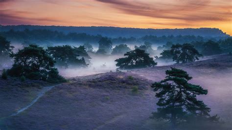 1366x768 Landscape Field Outdoor Sky Laptop HD ,HD 4k Wallpapers,Images,Backgrounds,Photos and ...