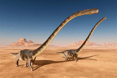 Gigantic 500 kg dinosaur bone found in France, belongs to the world’s ...