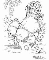 Animals To Color Printable sketch template