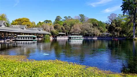 Silver Springs State Park: Wild Monkeys and Glass Bottom Boat Tours ...