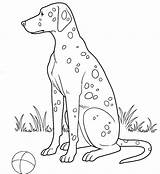 Redbone Coonhound Coloring Pages  Dogs sketch template