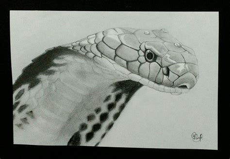 Pencil sketch The King Cobra | Snake tattoo design, Tattoo design drawings, King cobra snake ...