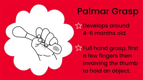 Grasp Development in Children – Palmar, Pincer and Tripod Grip