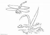 Pond Animal Coloring Pages  Free Printable sketch template
