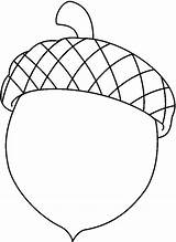 Printable Acorn Coloring Pages sketch template