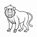 Baboon Illustration coloring page For Kids 41459015 Vector Art At Vecteezy sketch template